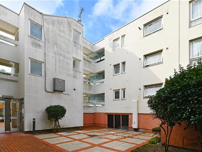 Picture 8